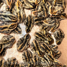 Load image into Gallery viewer, Jumbo Coturnix Quail (Feather Sexable) Hatching Eggs