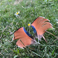 Load image into Gallery viewer, Mandarin Duck (Young Adult)